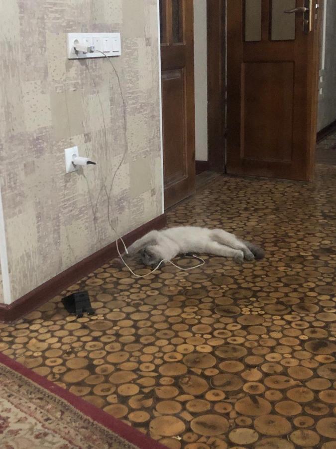 Hotel Be My Guest Osz Zewnętrze zdjęcie